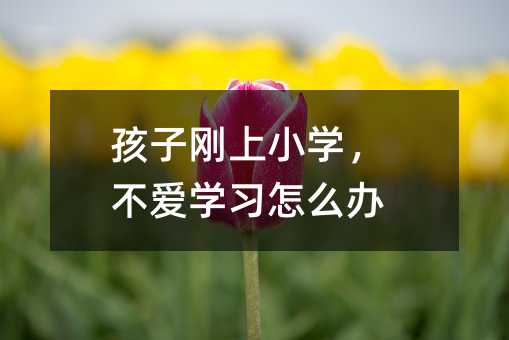 孩子剛上小學,不愛學習怎么辦