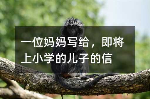 一位媽媽寫(xiě)給,即將上小學(xué)的兒子的信