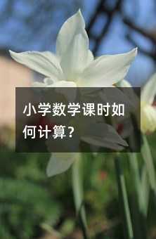 小學(xué)數(shù)學(xué)課時(shí)如何計(jì)算?