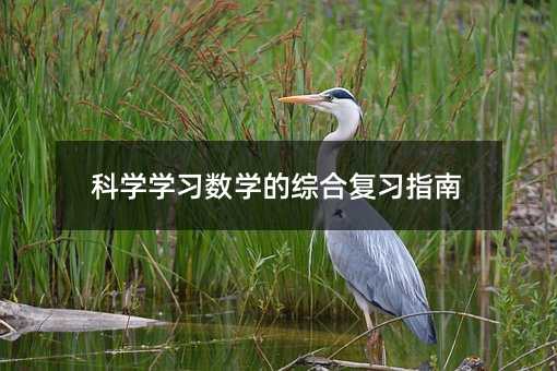 科學學習數學的綜合復習指南