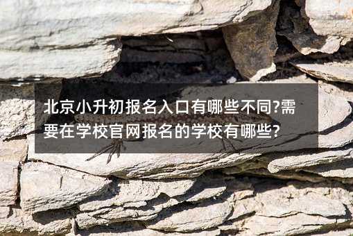 北京小升初報(bào)名入口有哪些不同?需要在學(xué)校官網(wǎng)報(bào)名的學(xué)校有哪些?