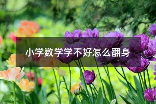 小學數學學不好怎么翻身