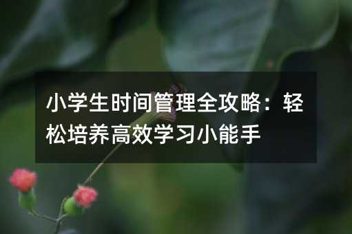 小學(xué)生時(shí)間管理全攻略:輕松培養(yǎng)高效學(xué)習(xí)小能手