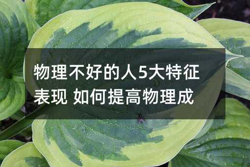 物理不好的人5大特征表現(xiàn) 如何提高物理成績(jī)