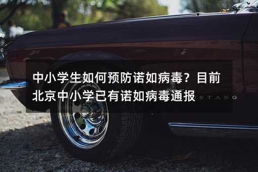 中小學生如何預防諾如病毒?目前北京中小學已有諾如病毒通報