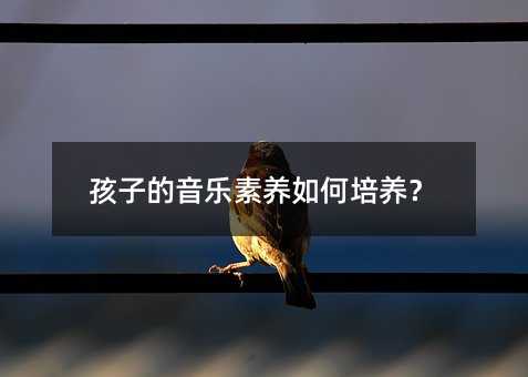 孩子的音樂素養(yǎng)如何培養(yǎng)?