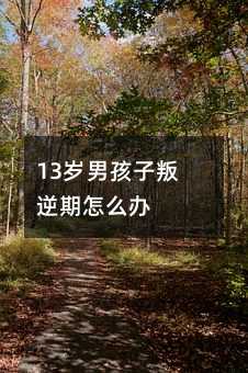13qкôk