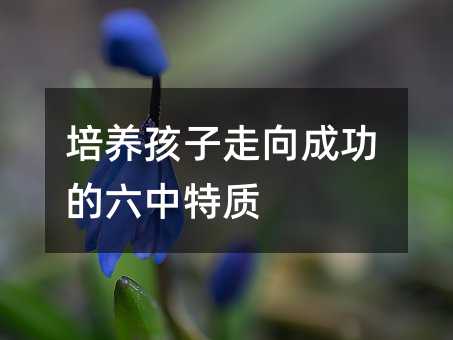 培養孩子走向成功的六中特質