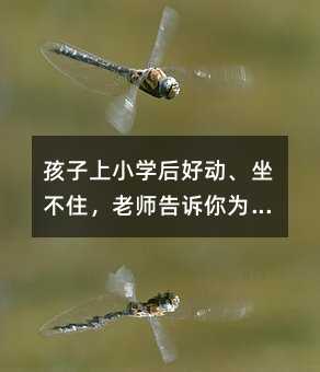СW(xu)Ä(dng)סώVʲô