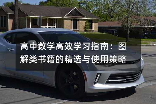 高中數(shù)學(xué)高效學(xué)習(xí)指南:圖解類(lèi)書(shū)籍的精選與使用策略