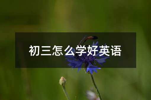 初三怎么學(xué)好英語