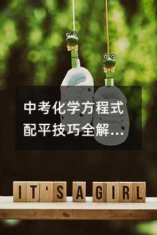 中考化學(xué)方程式配平技巧全解析——奇數(shù)配偶法深度解析與實(shí)戰(zhàn)應(yīng)用