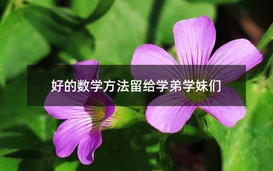 好的數學方法留給學弟學妹們