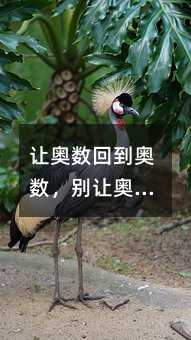׌WصWe׌W̘IĶ