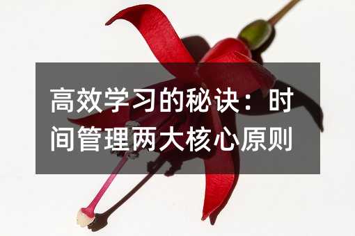 高效學習的秘訣:時間管理兩大核心原則