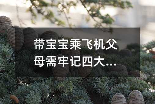 帶寶寶乘飛機父母需牢記四大寶典