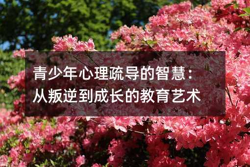 青少年心理疏導(dǎo)的智慧:從叛逆到成長(zhǎng)的教育藝術(shù)
