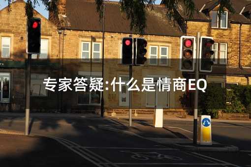 專家答疑:什么是情商EQ