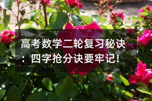 高考數學二輪復習秘訣:四字搶分訣要牢記!