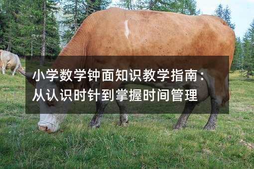 小學數學鐘面知識教學指南:從認識時針到掌握時間管理