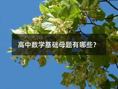 高中數(shù)學(xué)基礎(chǔ)母題有哪些?