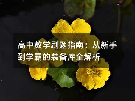 高中數學刷題指南:從新手到學霸的裝備庫全解析