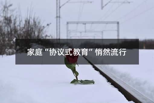 家庭“協議式教育”悄然流行