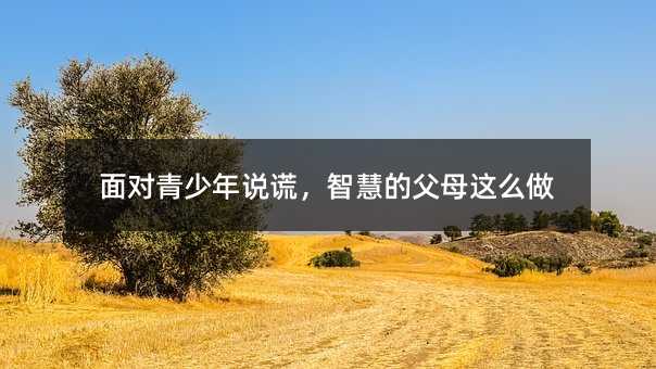 挦feǻ۵ĸĸ@ô