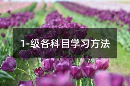 1-級各科目學習方法
