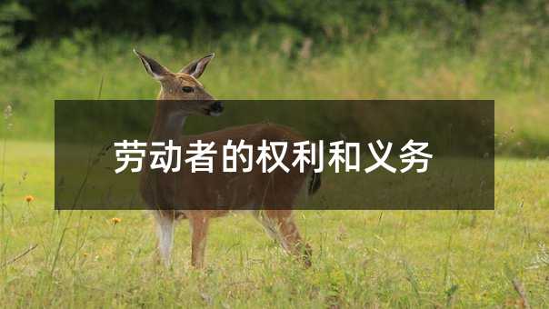 勞動者的權利和義務