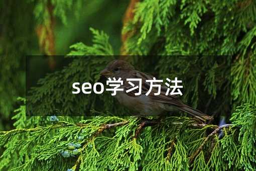 seo學習方法