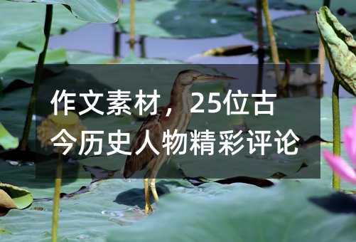 作文素材,25位古今歷史人物精彩評論