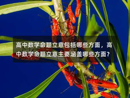 高中數(shù)學命題立意包括哪些方面,高中數(shù)學命題立意主要涵蓋哪些方面?