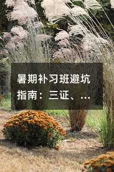 暑期補(bǔ)習(xí)班避坑指南:三證、場(chǎng)地、師資全解析
