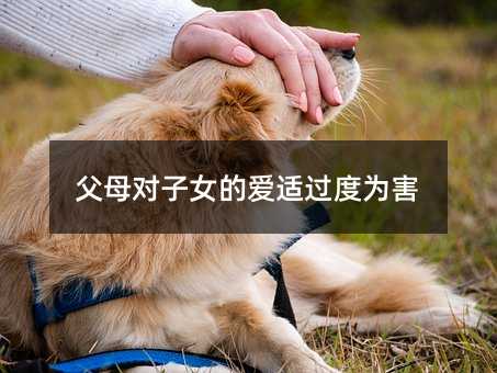 父母對子女的愛適過度為害