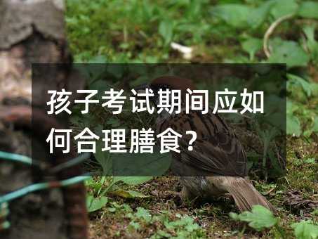 孩子考試期間應(yīng)如何合理膳食?