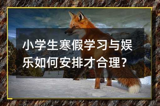 小學生寒假學習與娛樂如何安排才合理?