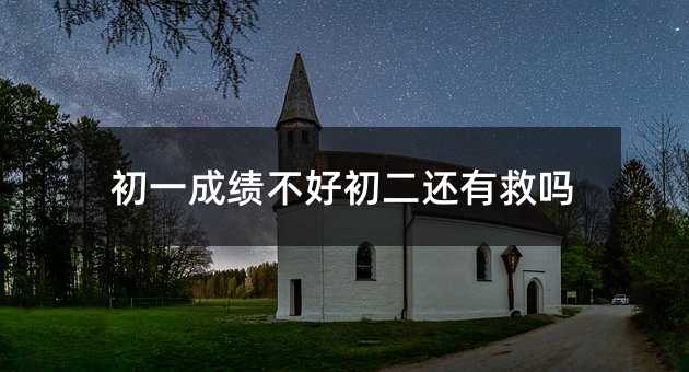 初一成績(jī)不好初二還有救嗎
