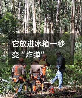 它放進冰箱一秒變“炸彈”
