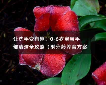 讓洗手變有趣!0-6歲寶寶手部清潔全攻略(附分齡養(yǎng)育方案)