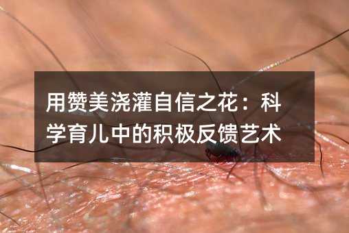 用贊美澆灌自信之花:科學(xué)育兒中的積極反饋藝術(shù)
