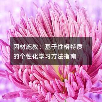 因材施教:基于性格特質的個性化學習方法指南
