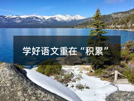 學好語文重在“積累”