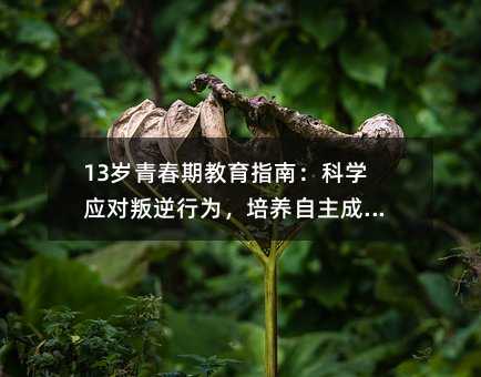 13qഺڽָϣƌWОBL
