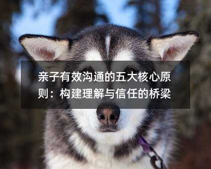 親子有效溝通的五大核心原則:構建理解與信任的橋梁