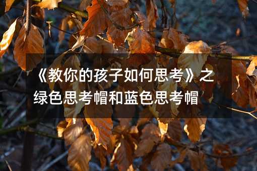 《教你的孩子如何思考》之綠色思考帽和藍色思考帽