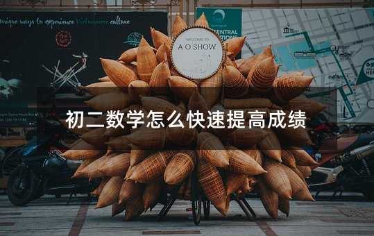 初二數(shù)學(xué)怎么快速提高成績(jī)