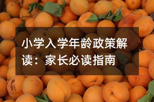 小學入學年齡政策解讀:家長必讀指南