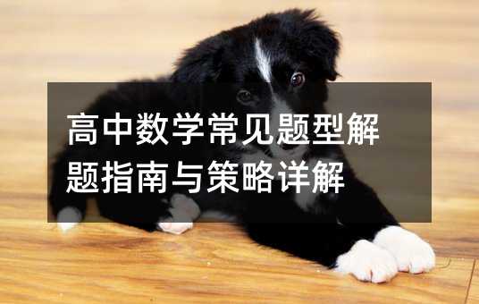 高中數學常見題型解題指南與策略詳解
