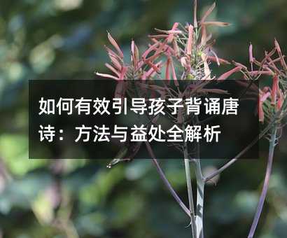 如何有效引導孩子背誦唐詩:方法與益處全解析